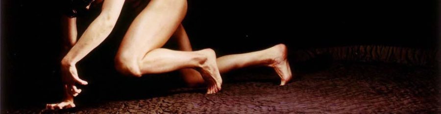 Victoria Regia Victoria Regia